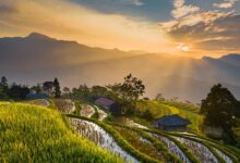 10 pasos para lograr la libertad financiera antes de los 30 años-AI资料之家