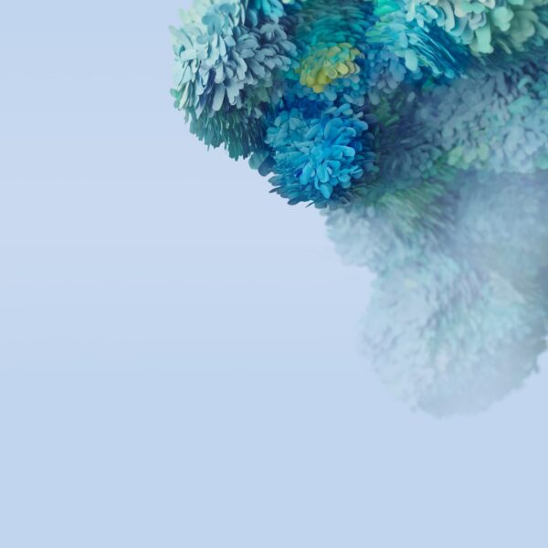 24节气的起源与演变揭秘