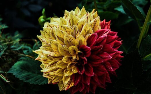 12个里程碑：从乒乓球到世界冠军